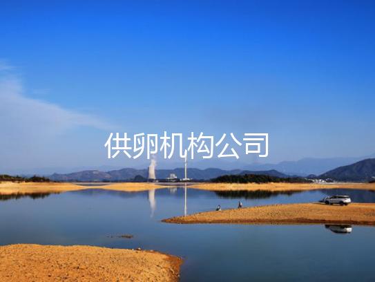 供卵机构公司